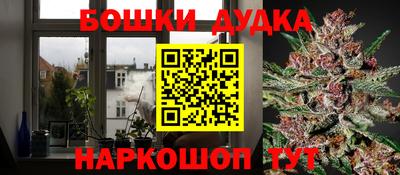 индика Пушкино