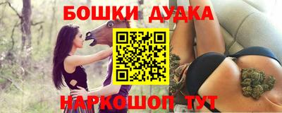 индика Пушкино
